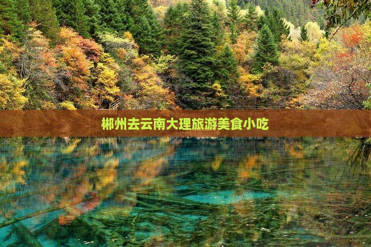 郴州去云南大理旅游小吃