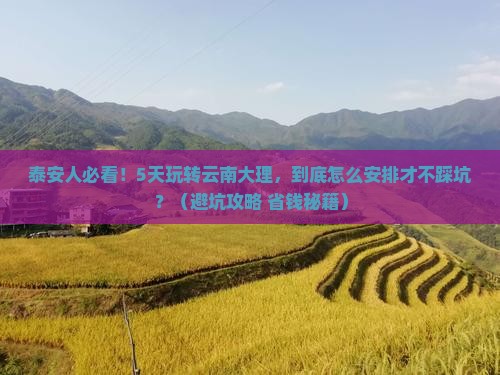 泰安去云南大理五日游