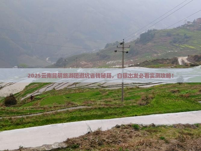 白银到云南昆明大型旅游团