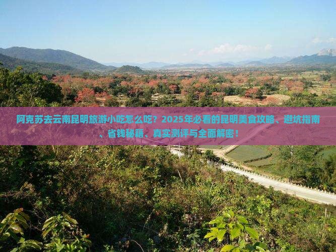 阿克苏去云南昆明旅游小吃