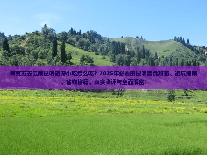 阿克苏去云南昆明旅游小吃