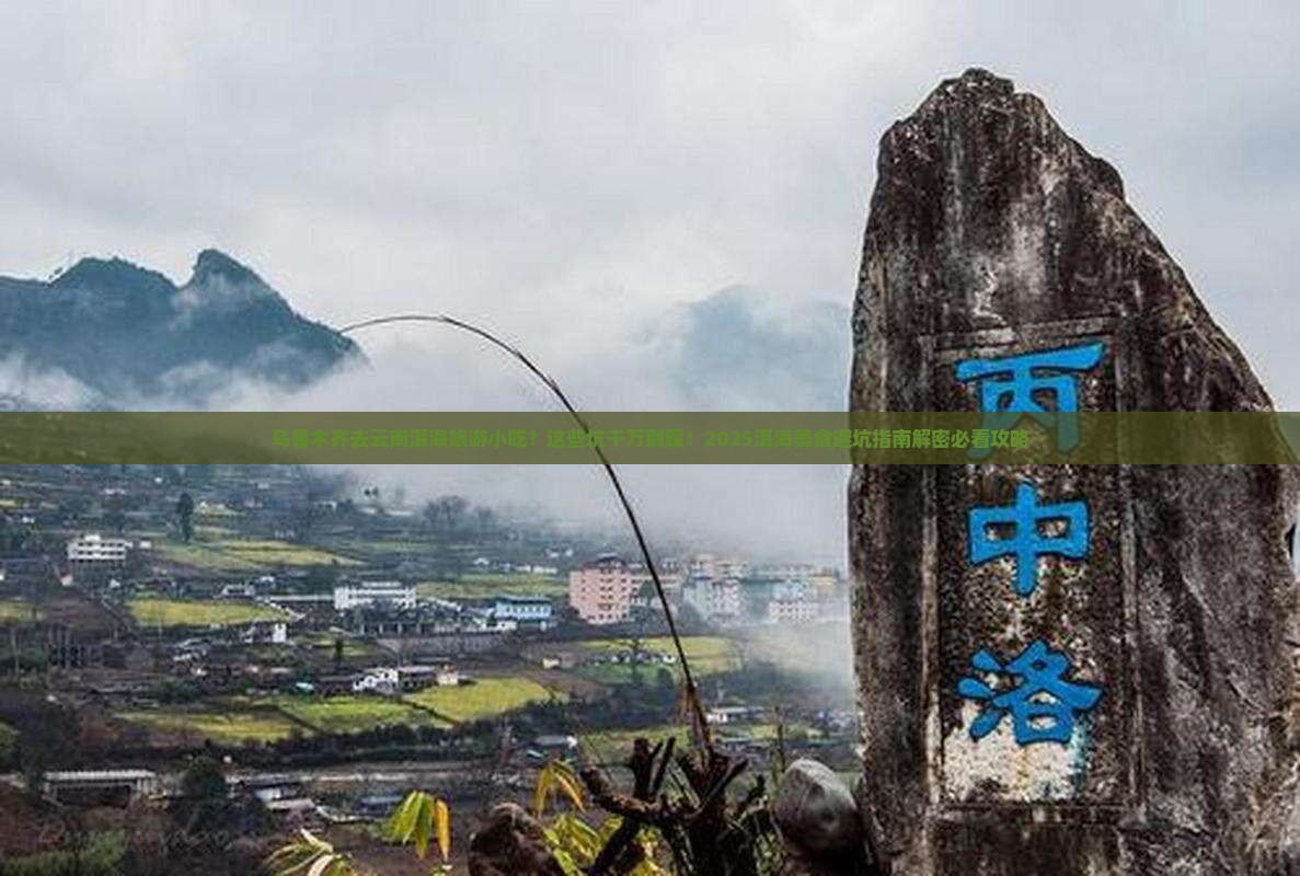 乌鲁木齐去云南洱海旅游小吃