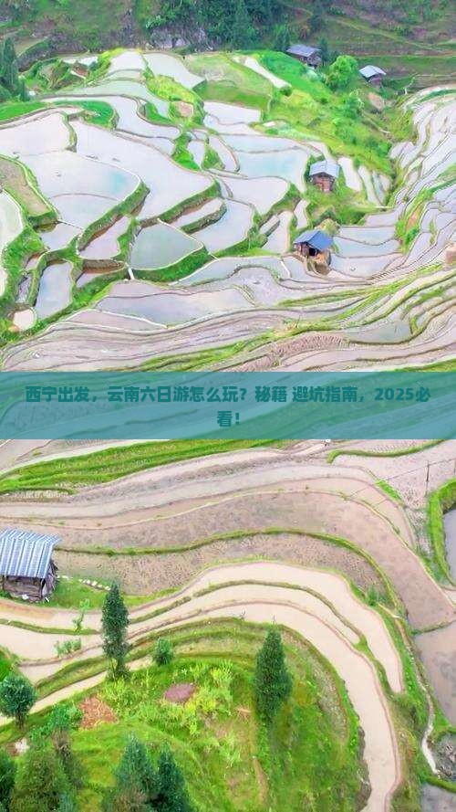 西宁到云南六日游 西宁到云南六日游