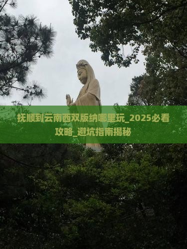 抚顺到云南西双版纳哪里玩