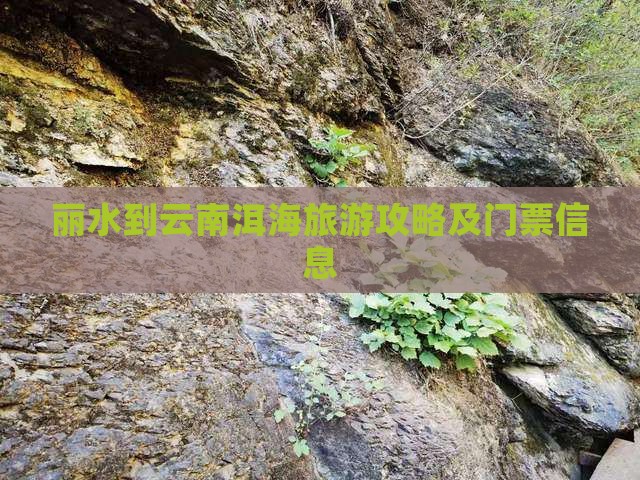 丽水到云南洱海门票