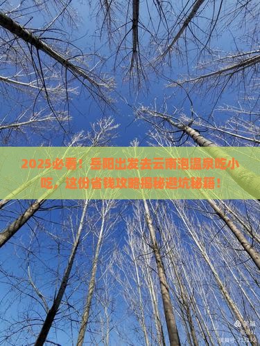 岳阳到云南温泉旅游小吃