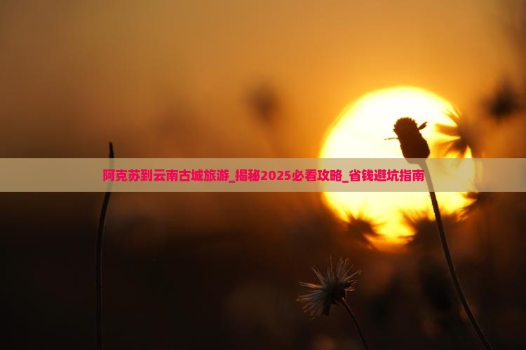 阿克苏到云南古城旅游