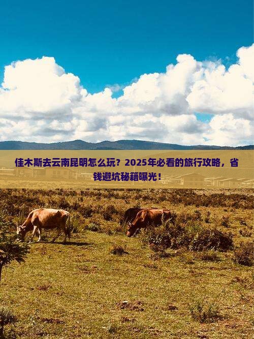 佳木斯去云南昆明旅行社