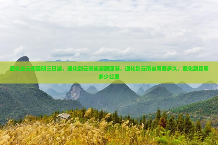 通化去云南昆明三日游