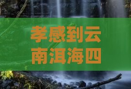 孝感到云南洱海四日游