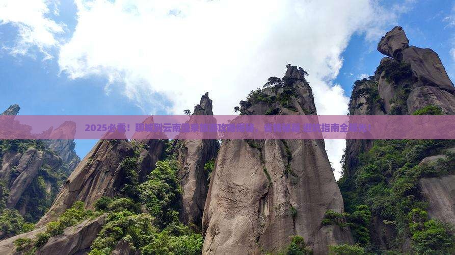 聊城到云南温泉旅游