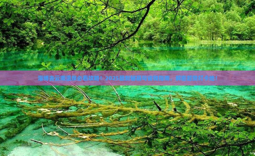淄博去云南温泉必去地