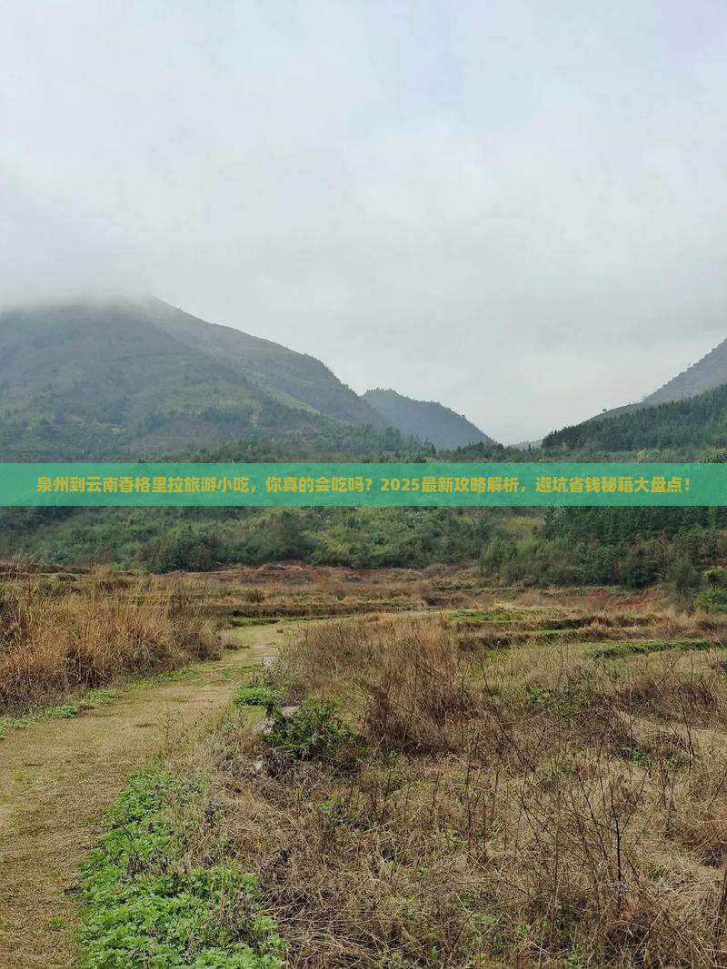 泉州到云南香格里拉旅游小吃