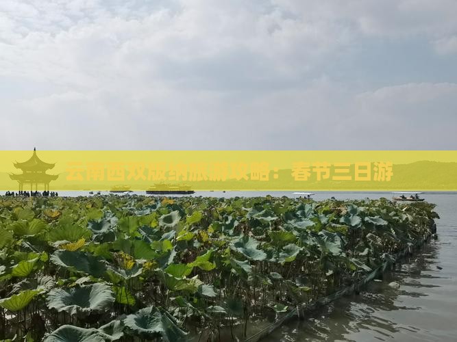 春节去云南西双版纳三日游