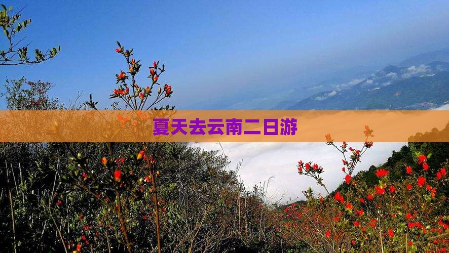 夏天去云南二日游