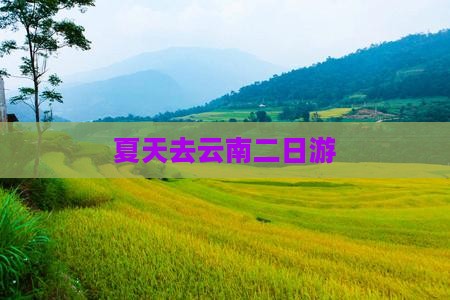 夏天去云南二日游