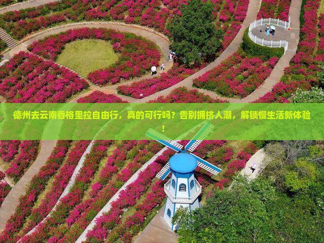 德州去云南香格里拉自由行