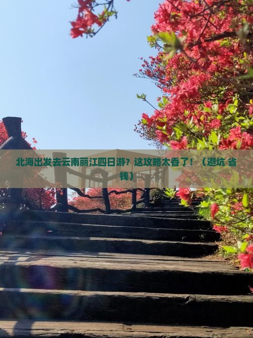 北海去云南丽江四日游 北海去云南丽江四日游