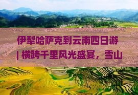 伊犁哈萨克到云南四日游