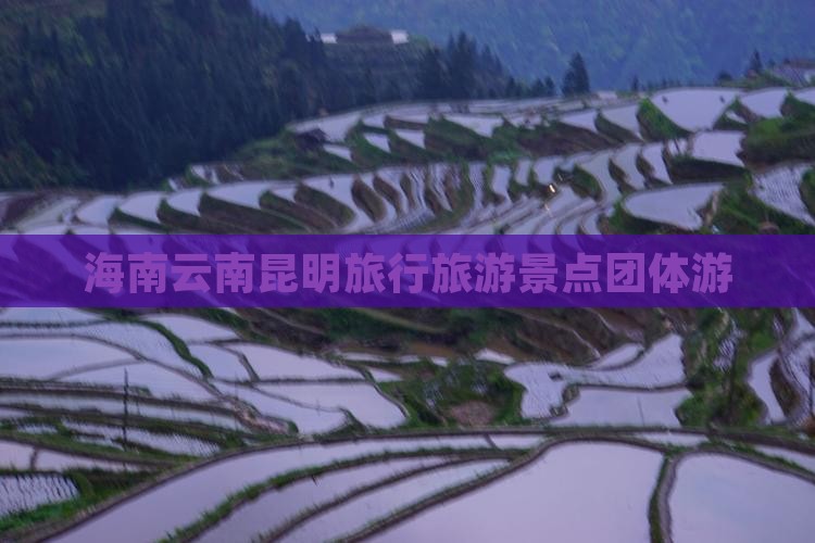 海南到云南昆明团体旅游