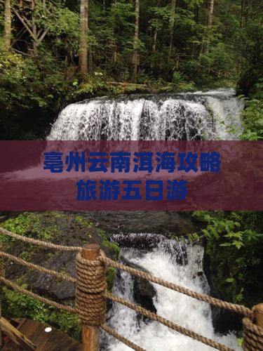 亳州去云南洱海五日游