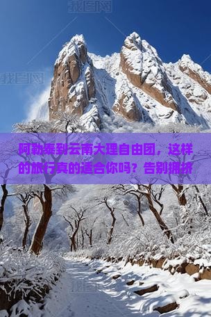 阿勒泰到云南大理自由团