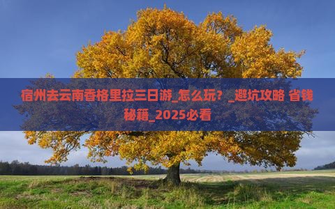 宿州去云南香格里拉三日游