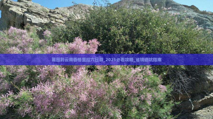 莆田到云南香格里拉六日游