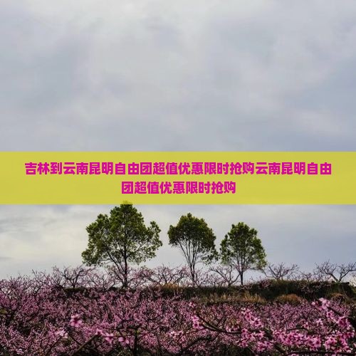 吉林到云南昆明自由团