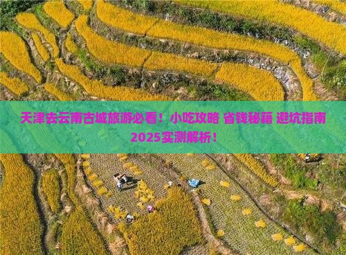 天津去云南古城旅游小吃