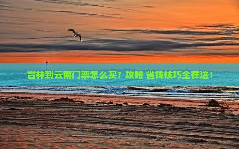 吉林到云南门票