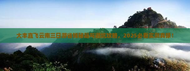 大丰到云南三日游