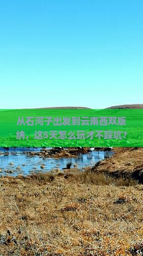 石河子到云南西双版纳景点