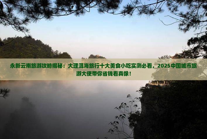 永新去云南洱海旅游小吃