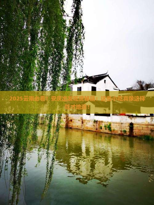 安庆去云南旅游小吃