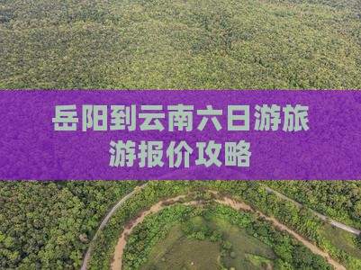 岳阳到云南六日游