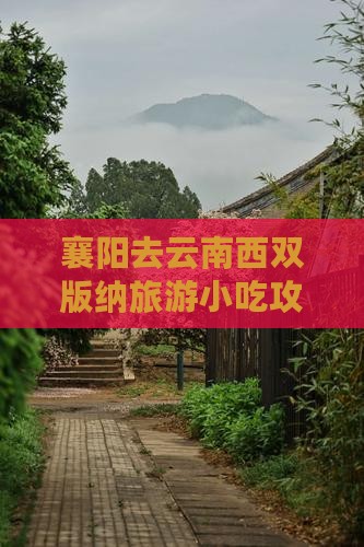 襄阳去云南西双版纳旅游小吃