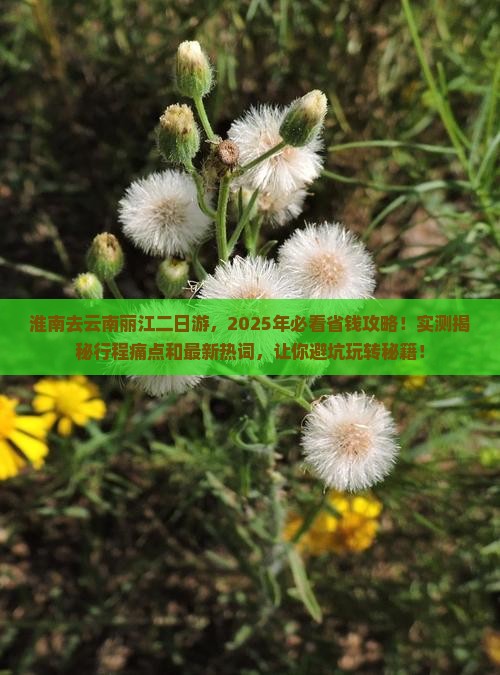 淮南去云南丽江二日游