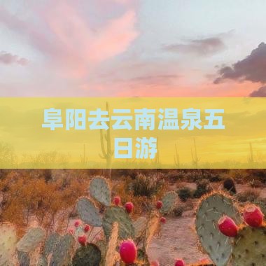 阜阳去云南温泉五日游