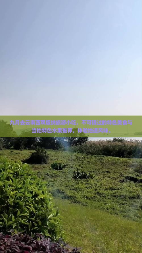 九月去云南西双版纳旅游小吃