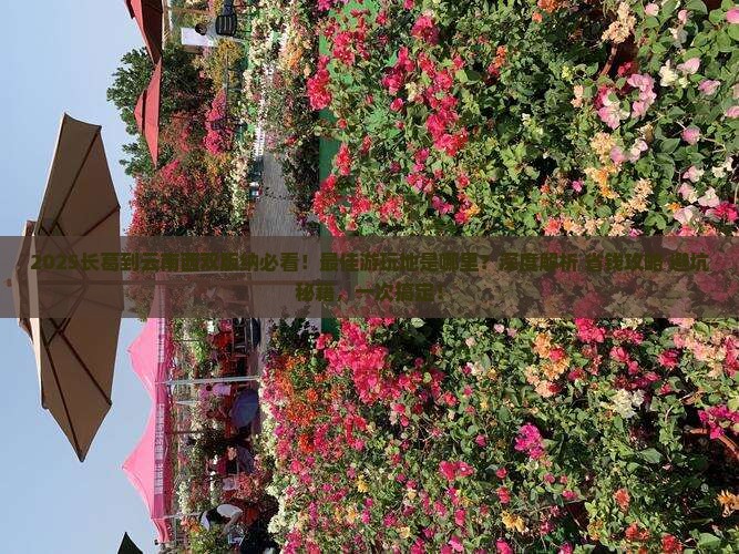 长葛到云南西双版纳哪里玩