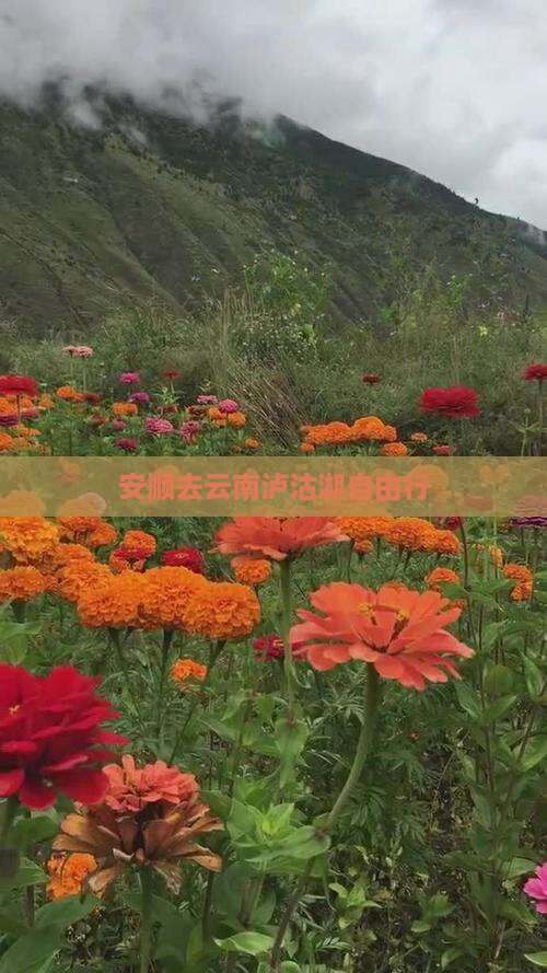 安顺去云南泸沽湖自由行