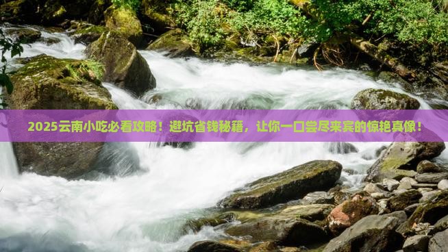 来宾到云南旅游小吃