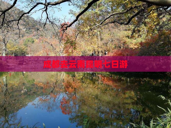 成都去云南昆明七日游