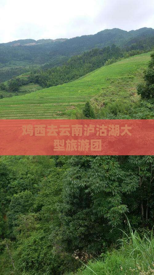 鸡西去云南泸沽湖大型旅游团