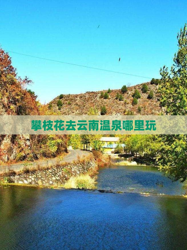 攀枝花去云南温泉哪里玩