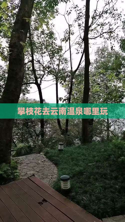 攀枝花去云南温泉哪里玩