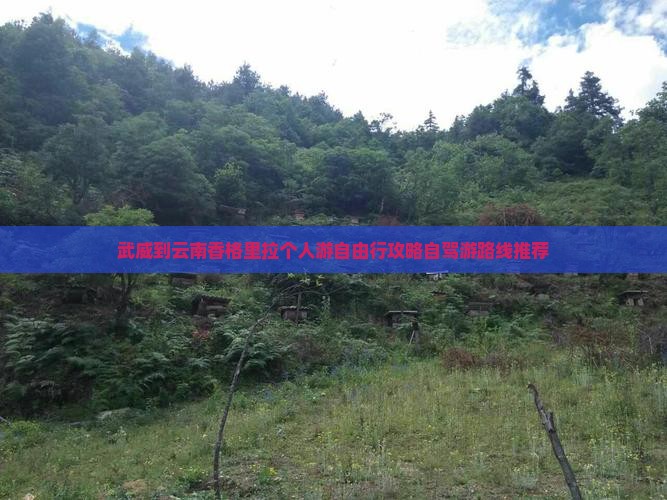 武威到云南香格里拉个人游