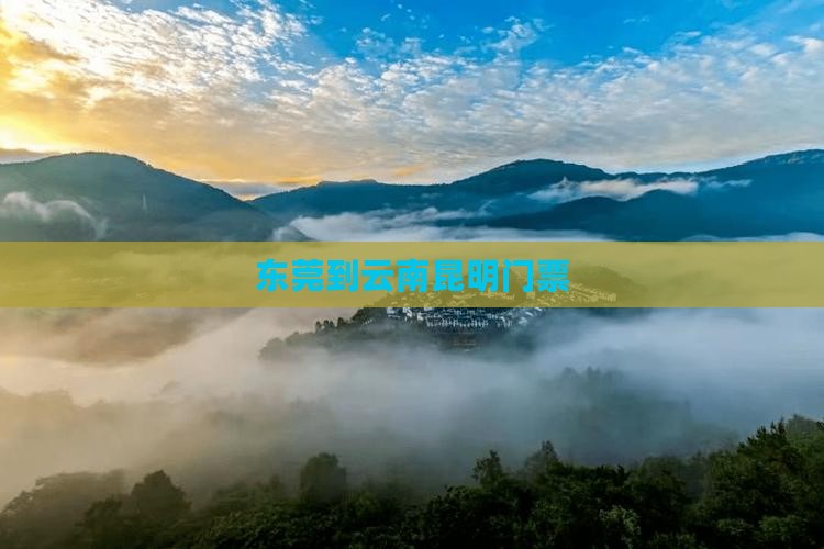 东莞到云南昆明门票