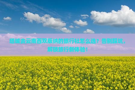 塔城去云南西双版纳旅行社